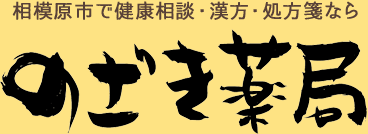 相模原市で健康相談・漢方・処方箋なら「のざき薬局」